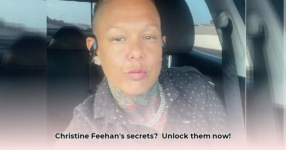 christine-feehan-net-worth